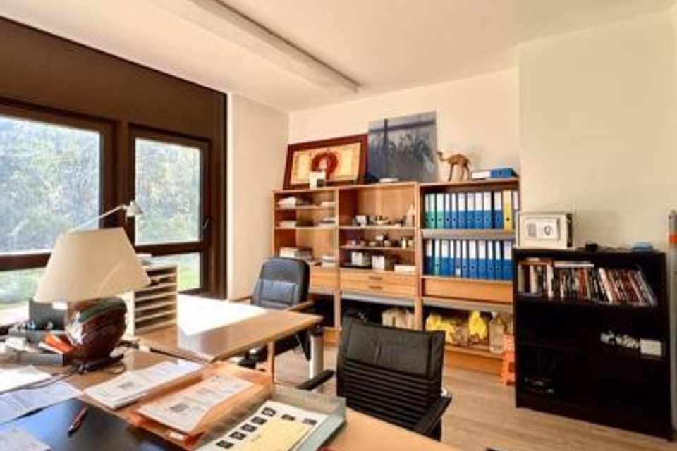 Bright Sunny Space in a Quiet Location Facing the Trees, 1206 Genève, Geneva, CH