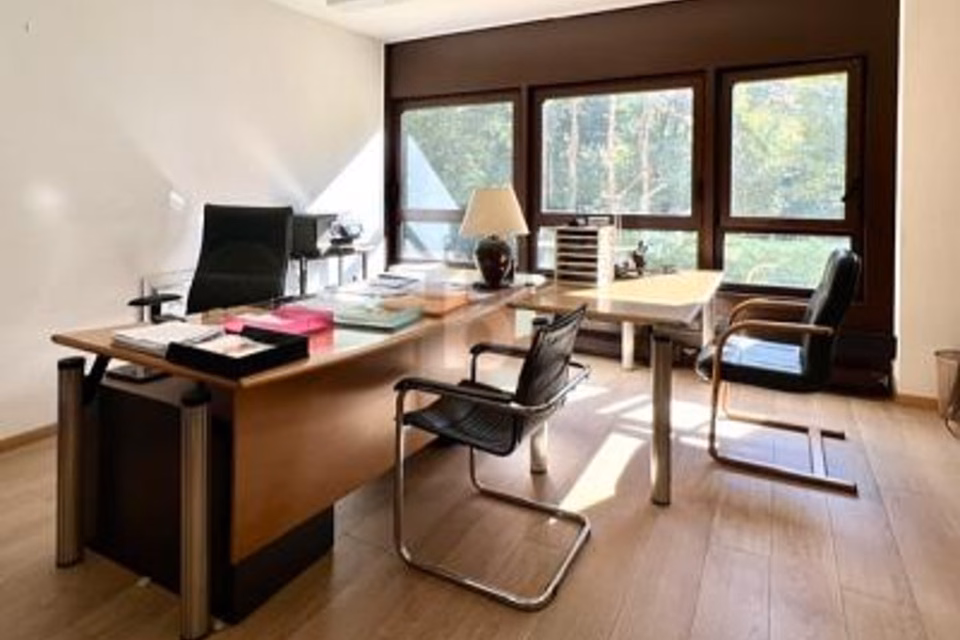 Bright Sunny Space in a Quiet Location Facing the Trees, 1206 Genève, Geneva, CH