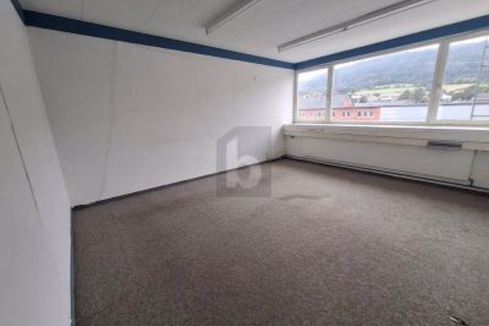 BRIGHT, SPACIOUS AND PRACTICAL, 2854 Bassecourt, Jura, CH