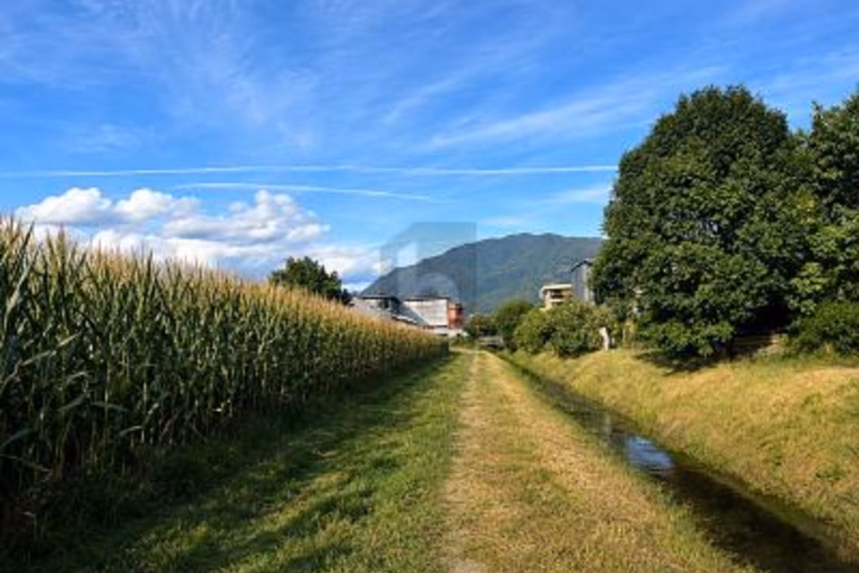 Spacious Plot in a Sunny, Strategic Location, 6592 S. Antonino, Ticino, CH