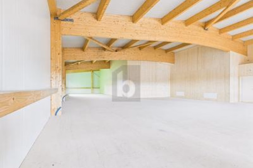 NUOVA COSTRUZIONE: LOCALE COMMERCIALE FLESSIBILE, 6018 Buttisholz, Lucerne, CH