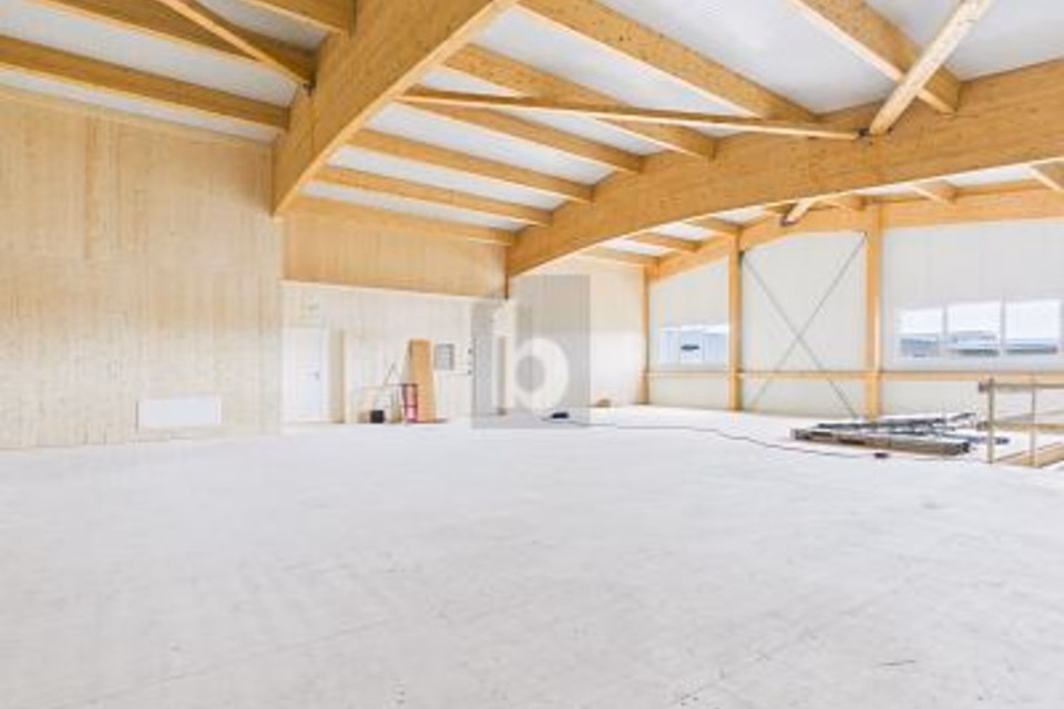 NUOVA COSTRUZIONE: LOCALE COMMERCIALE FLESSIBILE, 6018 Buttisholz, Lucerne, CH
