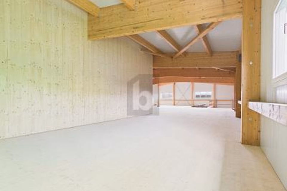 NUOVA COSTRUZIONE: LOCALE COMMERCIALE FLESSIBILE, 6018 Buttisholz, Lucerne, CH
