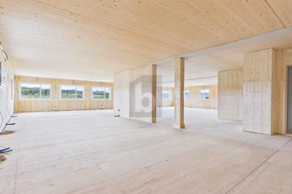 NUOVA COSTRUZIONE FLESSIBILE PER ESIGENZE INDIVIDUALI, 6018 Buttisholz, Lucerne, CH