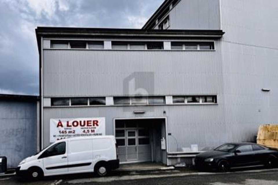 LOCALE INDUSTRIALE MOLTO BELLO PER ARTIGIANATO, 1296 Coppet, Vaud, CH