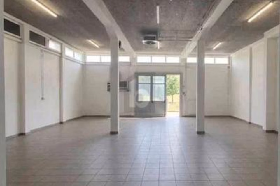 LOCALE INDUSTRIALE MOLTO BELLO PER ARTIGIANATO, 1296 Coppet, Vaud, CH