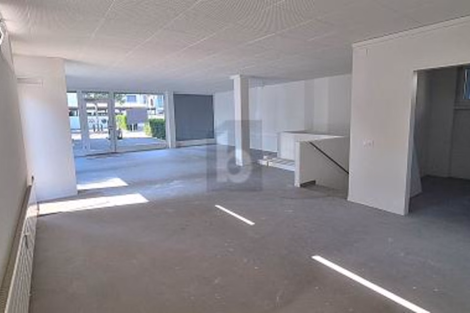 SPAZIOSO E CENTRALE NEL CUORE DEL PAESE, 4153 Reinach BL, Basel-Landschaft, CH