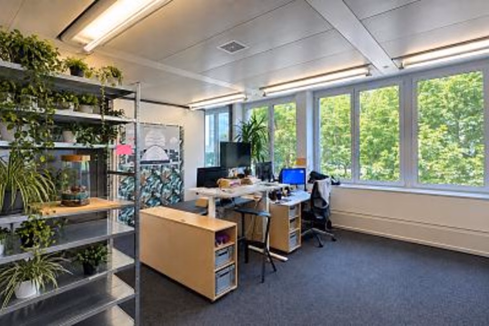 BAIGNÉ DE LUMIÈRE AVEC ESPACES DE TRAVAIL OUVERTS, 8045 Zürich, Zurich, CH