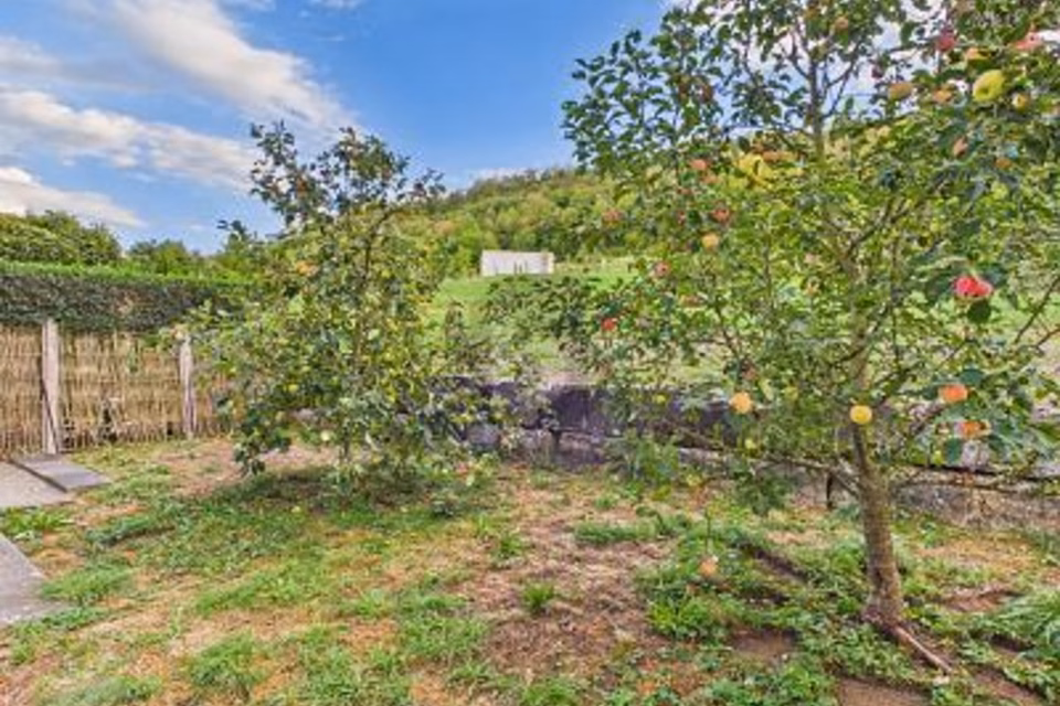 Cabinet établi dans une propriété soignée, 5330 Bad Zurzach, Aargau, CH