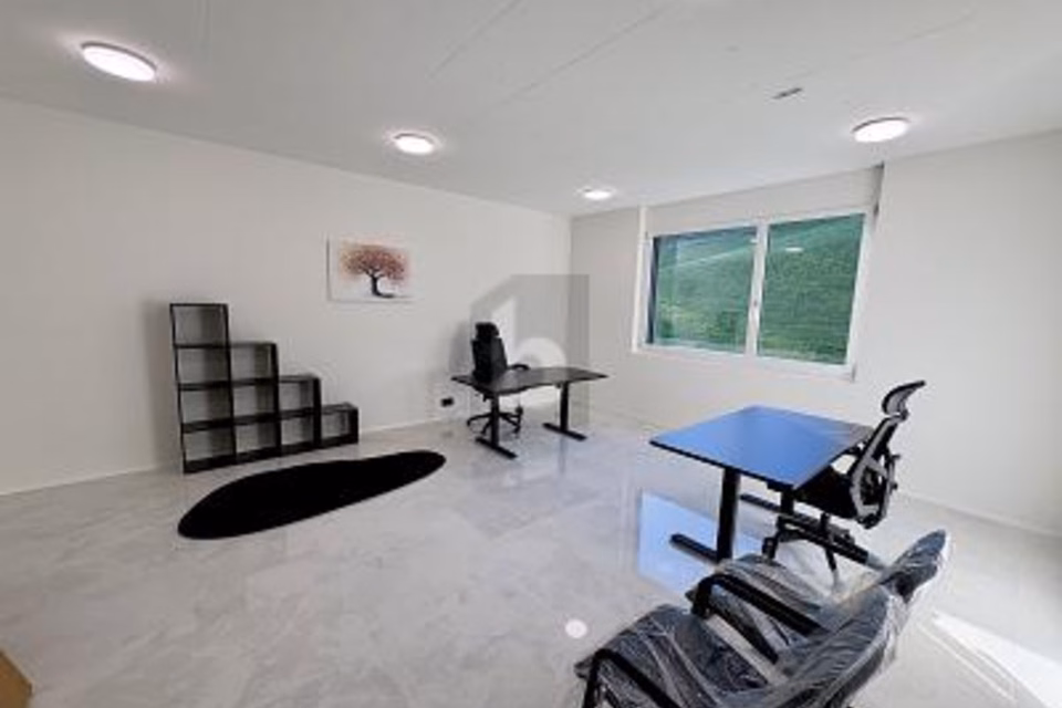 Première occupation, exclusif, 8835 Feusisberg, Schwyz, CH