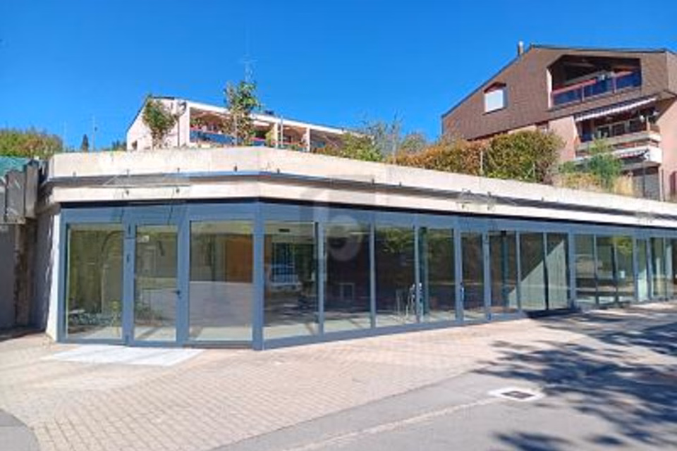 AMPI SPAZI MODULABILI E LUMINOSI !, 1073 Savigny, Vaud, CH