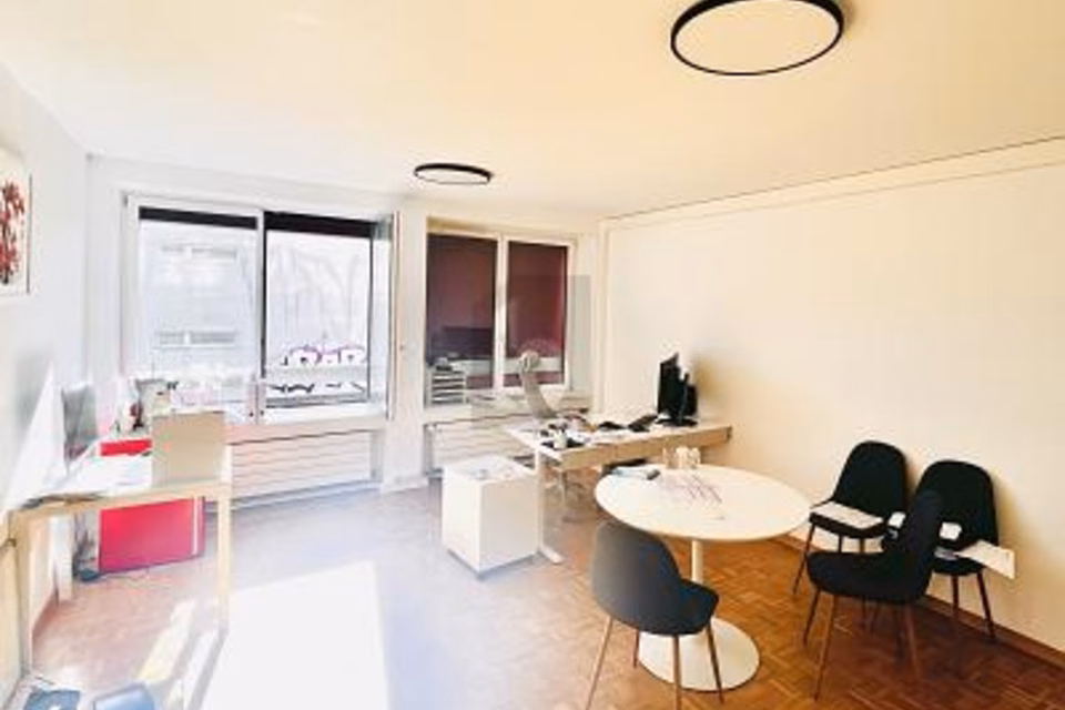 CENTRE VILLE, AVEC VUE SUR LE SALÈVE, 1201 Genève, Geneva, CH