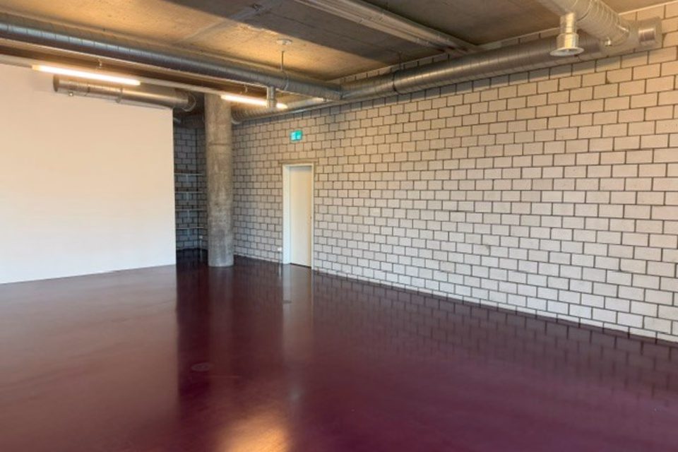 Surface commerciale attractive dans le bâtiment sportif de Lucerne, Zihlmattweg, 6005 Luzern, LU, CH
