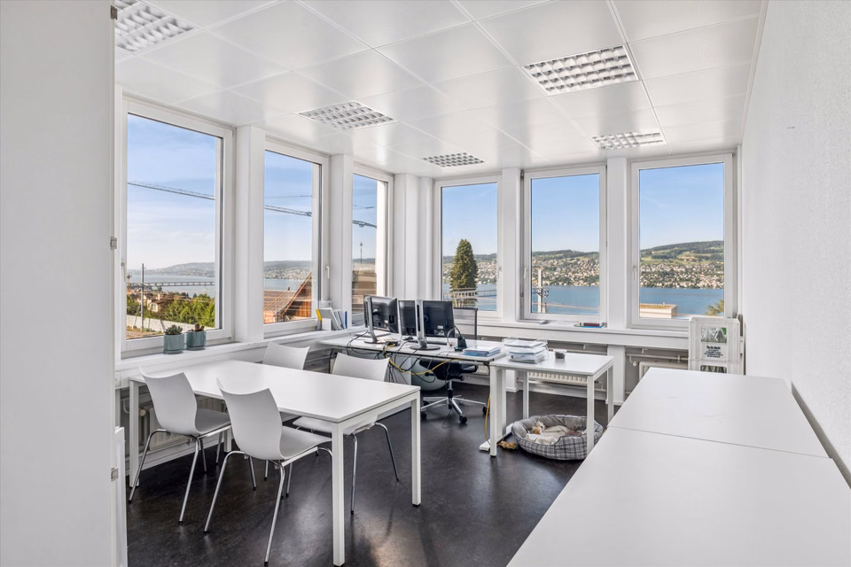 Lavorare con vista lago: interessante spazio ufficio nel cuore di Horgen, Dammstr., 8810 Horgen, Zurich, CH