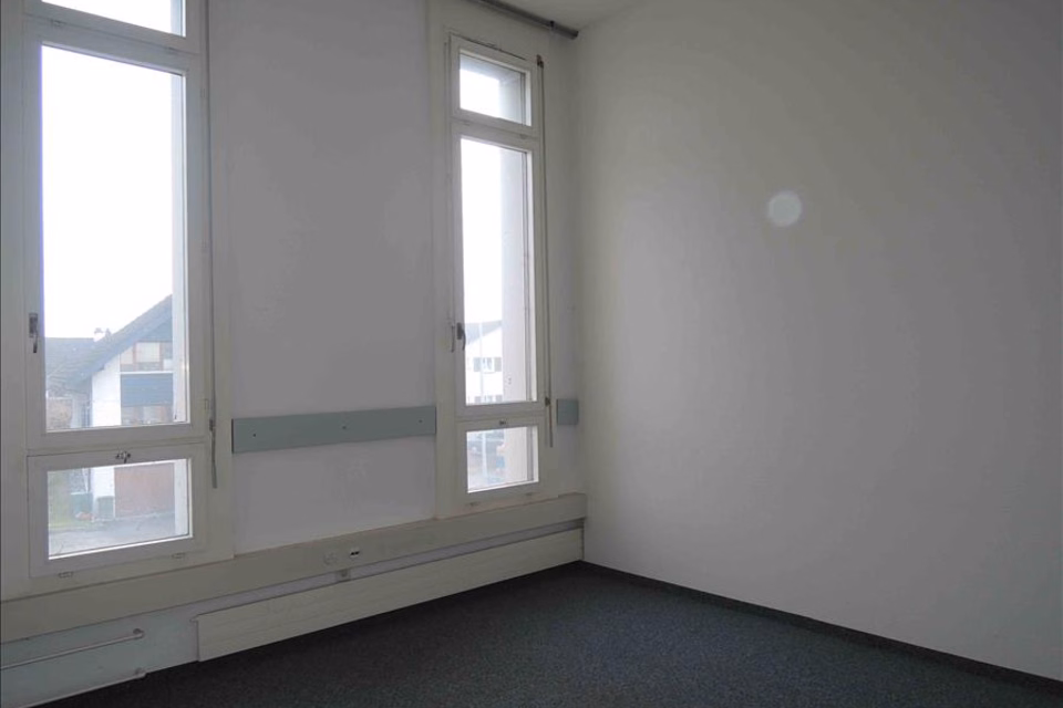 Attractive commercial or office space in the scenic Rhine Valley, Ländernachstr., 9435 Heerbrugg, St. Gallen, CH