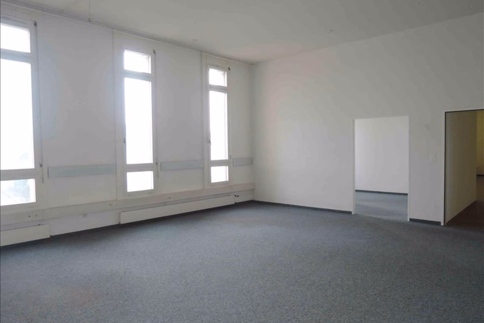 Attractive commercial or office space in the scenic Rhine Valley, Ländernachstr., 9435 Heerbrugg, St. Gallen, CH