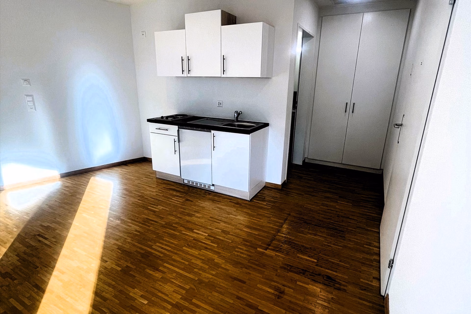 Bureau/Studio moderne dans un cadre naturel – THE GATE, Wetzikon, Rosinlistr., 8623 Wetzikon, Zurich, CH