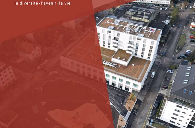 Espace commercial modulable dès 63m2 à 530m2