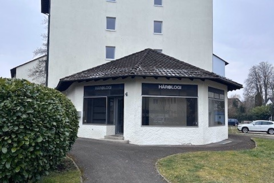 Senza canone per i primi 2 mesi - Ampio locale commerciale, Weinsteig, 8200 Schaffhausen, Schaffhausen, CH
