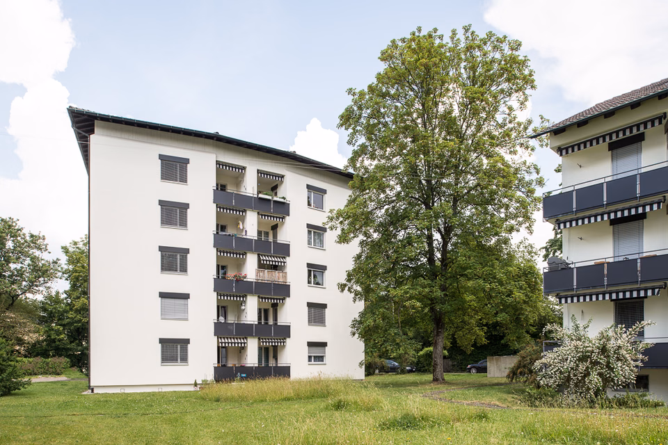 Senza canone per i primi 2 mesi - Ampio locale commerciale, Weinsteig, 8200 Schaffhausen, Schaffhausen, CH
