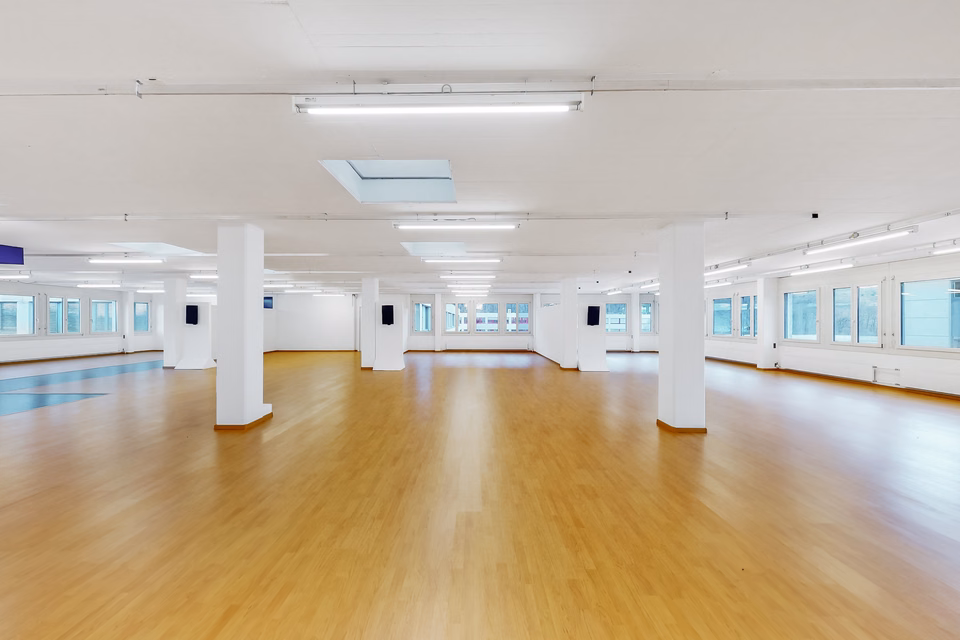 Grand bureau de 358 m² – Espace idéal pour des entreprises dynamiques, Via Luserte, 6573 Magadino, Ticino, CH