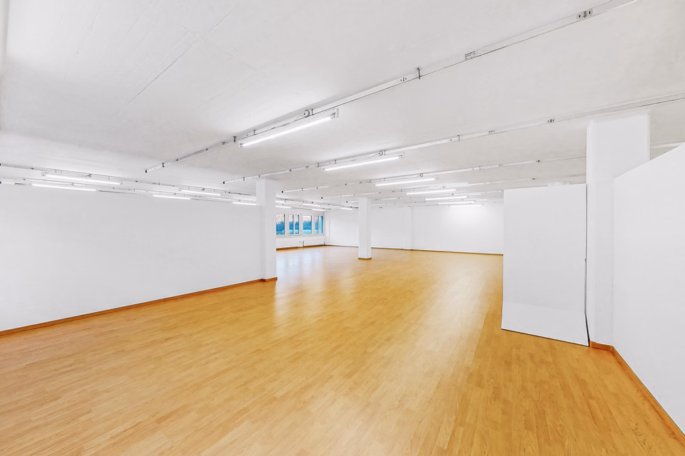 Spazio che dà forma alle idee – 249m2 di ufficio a Quartino, Via Luserte, 6573 Magadino, Ticino, CH