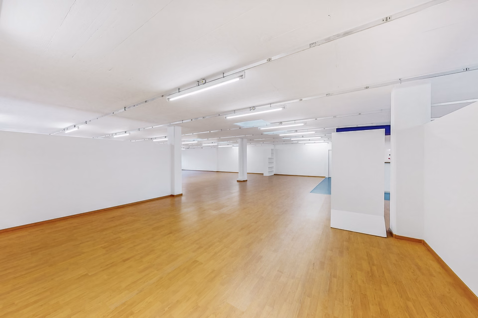 Spazio che dà forma alle idee – 249m2 di ufficio a Quartino, Via Luserte, 6573 Magadino, Ticino, CH
