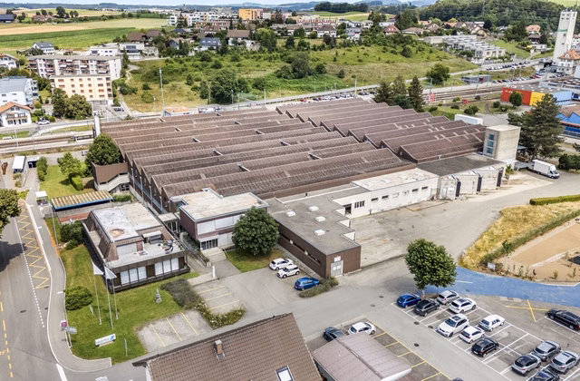 Ampie superfici di magazzino con pratiche rampe di carico a Schmitten FR