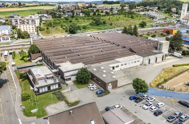 Espaces commerciaux spacieux avec rampes de chargement pratiques à Schmitten FR