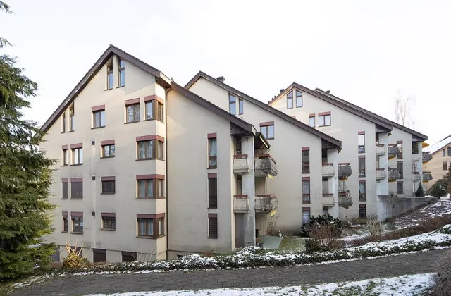 Lager in St. Gallen mieten