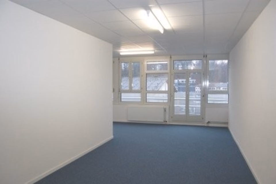 Ufficio / spazio commerciale nel cuore dell'area Dreispitz, Venedig-Strasse, 4142 Münchenstein, Basel-Landschaft, CH