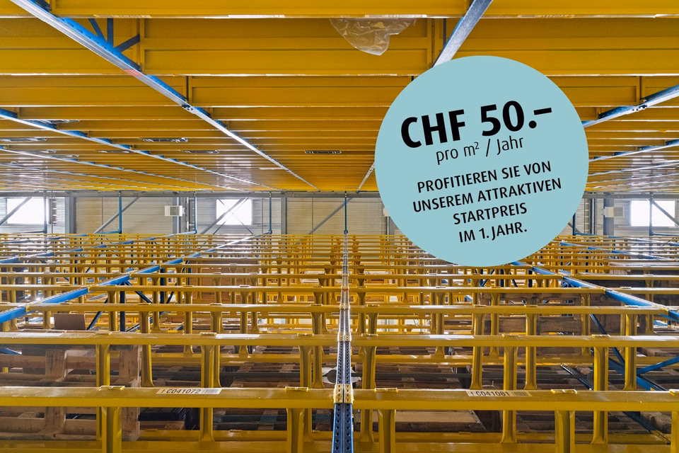 All possibilities for you - high-bay warehouse over 17 m high, Oristalstrasse, 4410 Liestal, Basel-Landschaft, CH