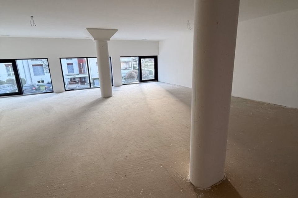 Attractive office/commercial space in new build, first occupancy in Lucerne/Littau, Bodenhof, 6014 Luzern, Lucerne, CH