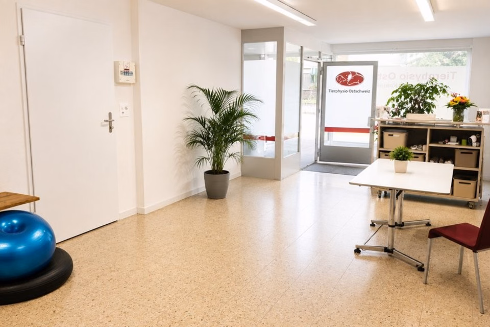 Locaux commerciaux en plein cœur d'Abtwil, Hauptstrasse, 9030 Abtwil, St. Gallen, CH