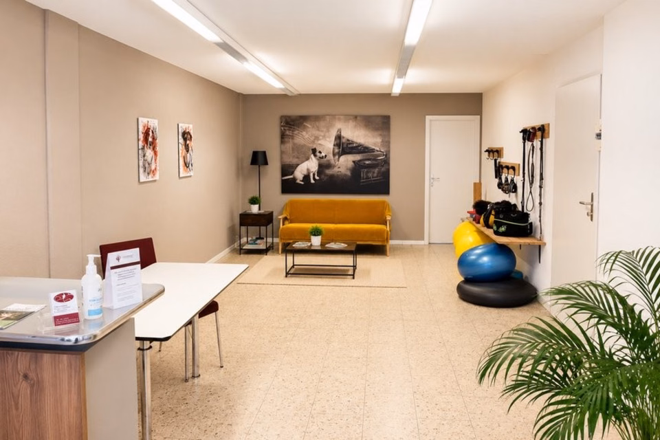 Locaux commerciaux en plein cœur d'Abtwil, Hauptstrasse, 9030 Abtwil, St. Gallen, CH