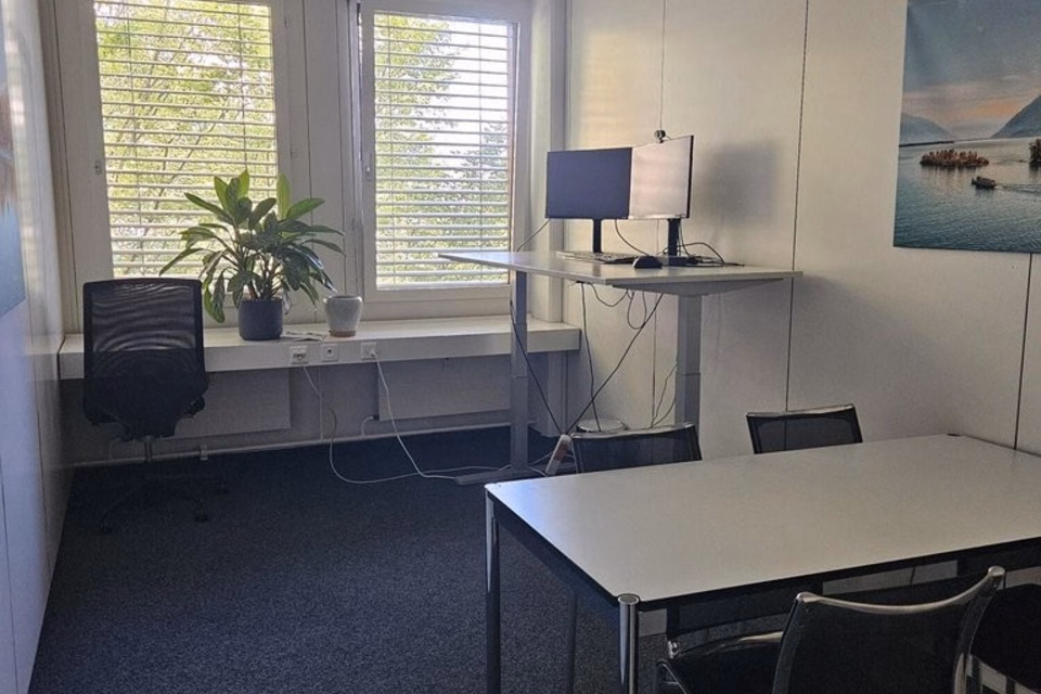 Location temporaire d'un local commercial !, Finkenhubelweg, 3012 Bern, Bern, CH