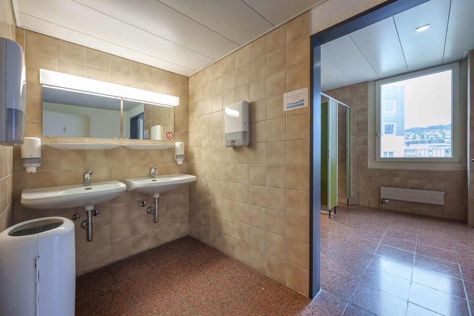 La soluzione perfetta di avvio o di transizione per il suo business, Hohlstrasse, 8004 Zürich, Zurich, CH