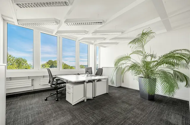 Stanco del lavoro da casa? Uffici a partire da 12 m² con atmosfera da campus