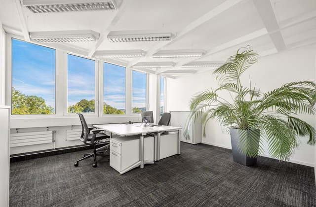 Stanco del lavoro da casa? Uffici da 12 m² con atmosfera da campus