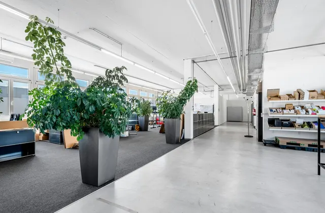 Office or commercial space from 350 m² in the Althard area