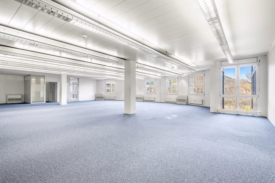PLAZA | Spazio ufficio rifinito con sale riunioni, Lerzenstrasse, 8953 Dietikon, Zurich, CH