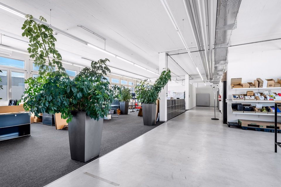 Office or commercial space from 350 m² in the Althard area, Althardstrasse, 8105 Regensdorf, Zurich, CH